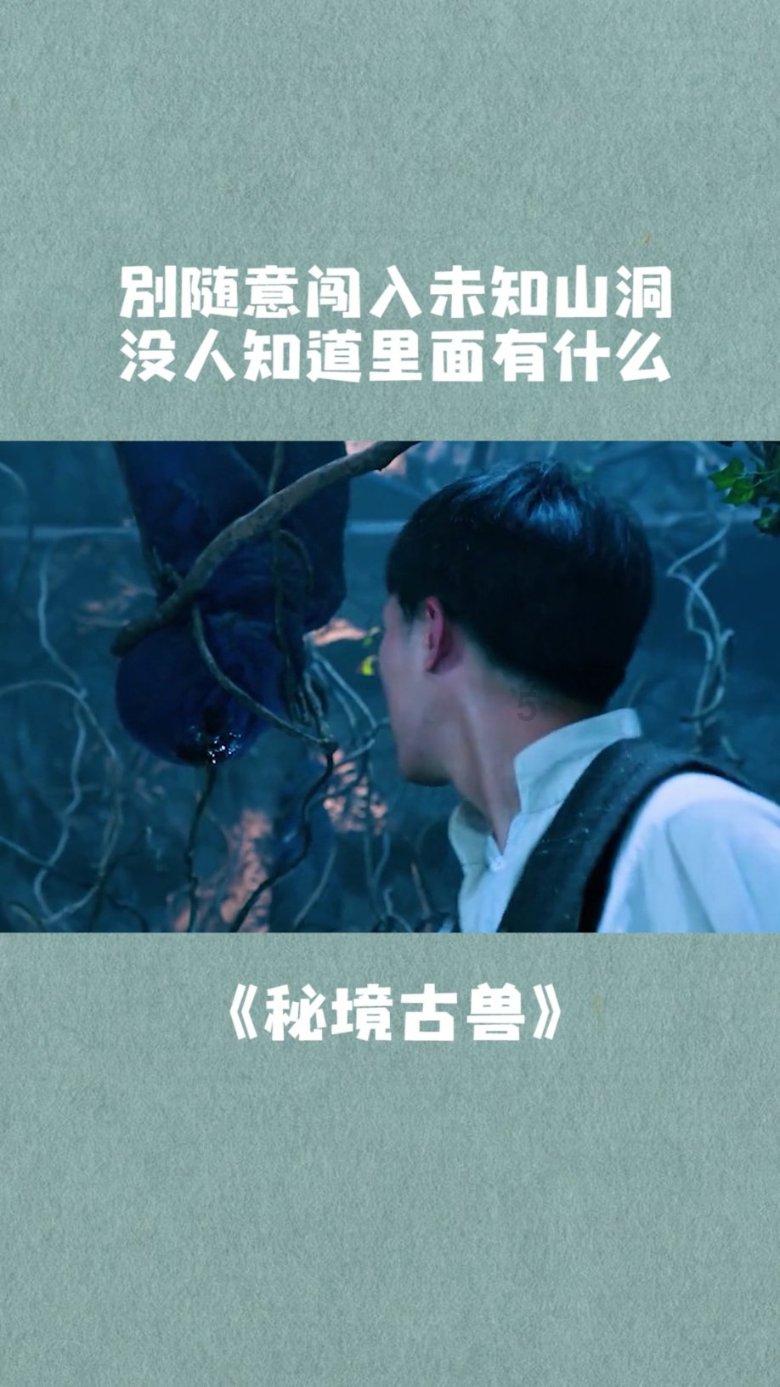 大众速腾配置推荐：这一个版本性价比最高，千万别选错了！