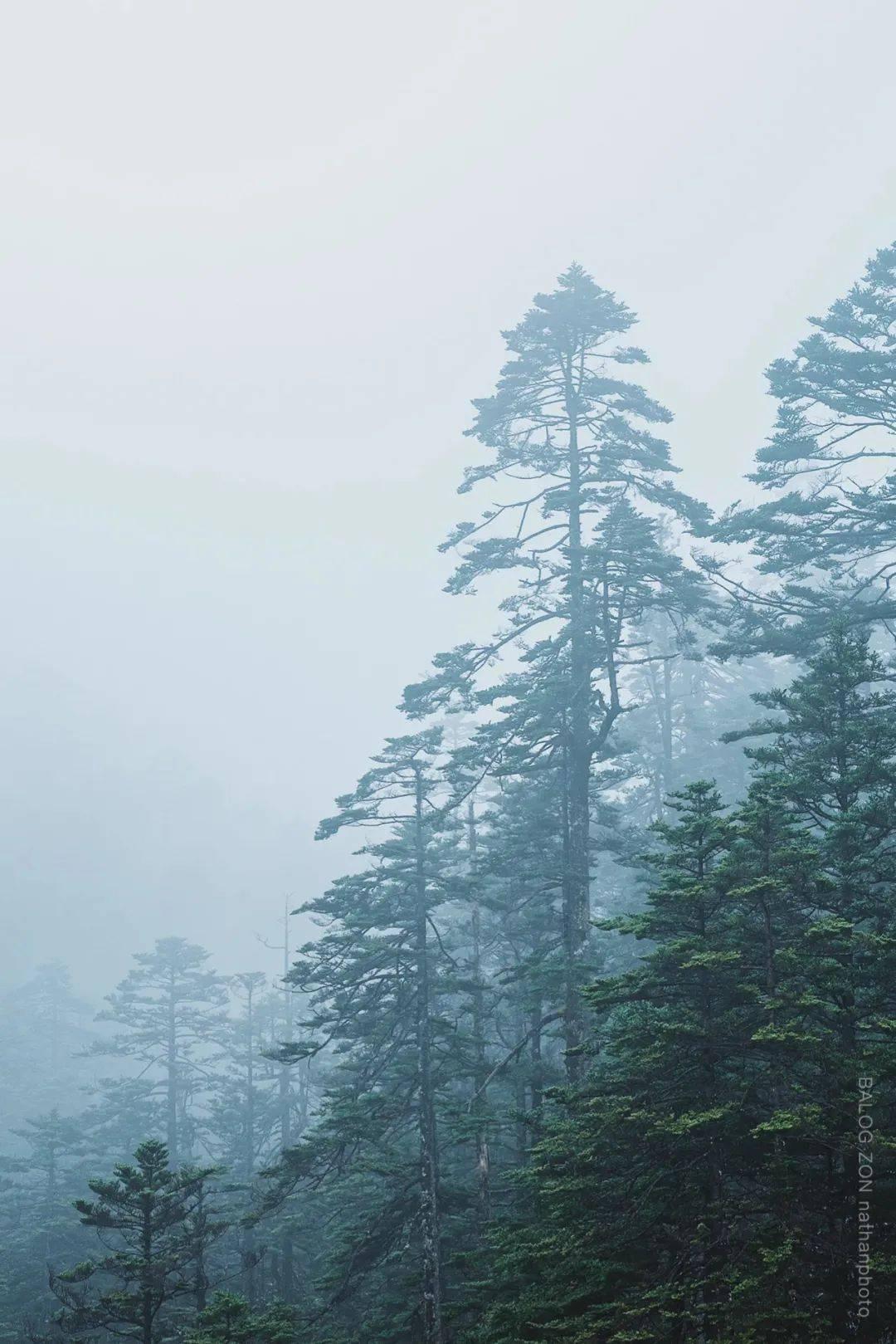 救援卡通熊仔