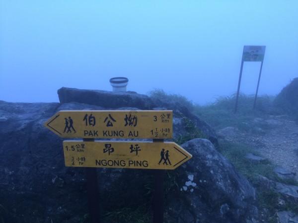 未转变者