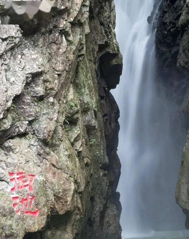 B族链球菌阳性选择剖腹产还要提前治疗吗？