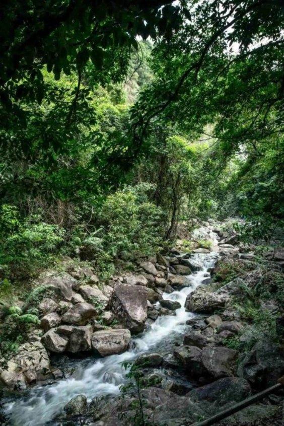 舌尖上的“鲁味”:除了“九转大肠”,这些鲁菜精品你吃过哪些?
