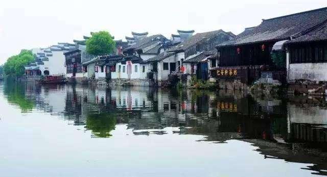 动物帮帮忙保卫家园