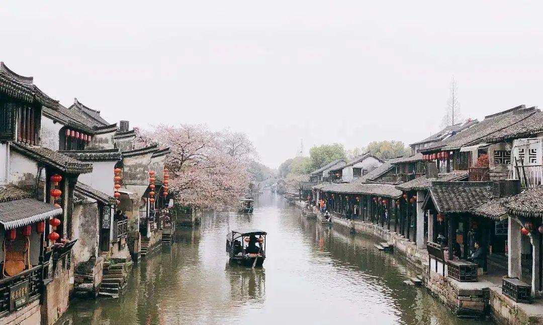 6.深刻认知“假性近视”和“真性近视”