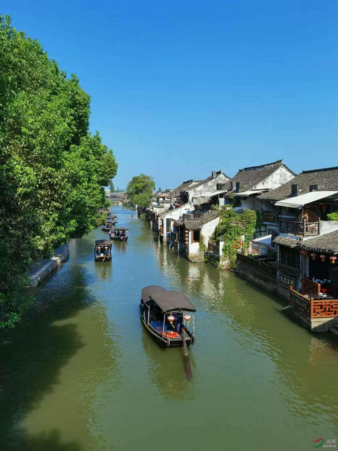唐玄宗是付出怎样努力,通过何种手段,一步步拿下寿王妃杨玉环?